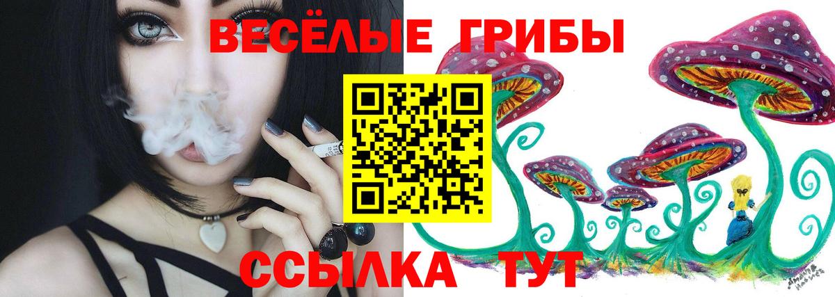 Лесозаводск  Псилоцибиновые грибы Cubensis  Вход с VPN  Псилоцибиновые грибы Magic Shrooms 